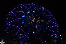 Texas Star