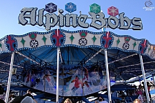 Alpine Bobs