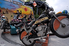 Hog Rally