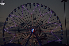 Texas Star