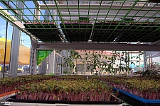 Innovations in Agricultire
