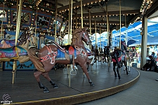 Dentzel Carousel