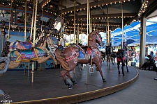 Dentzel Carousel