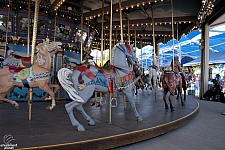 Dentzel Carousel