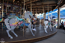 Dentzel Carousel