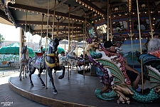 Dentzel Carousel