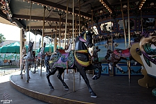 Dentzel Carousel