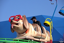 Puppy Express