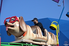 Puppy Express