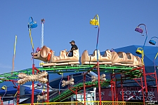 Puppy Express