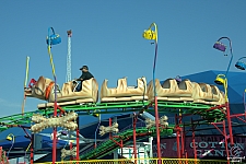 Puppy Express