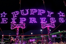 Puppy Express