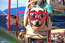 Puppy Express