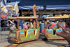 Safari Train