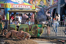 Safari Train