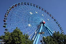 Texas Star