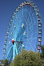 Texas Star