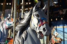 Dentzel Carousel