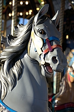 Dentzel Carousel