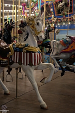 Dentzel Carousel