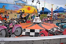 Hog Rally