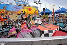 Hog Rally