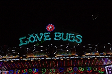 Love Bugs