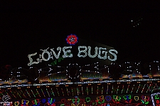 Love Bugs