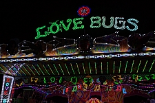 Love Bugs