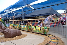 Safari Train