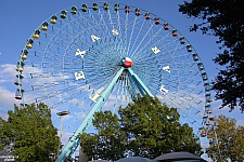 Texas Star