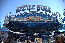 Beetle Bobs
