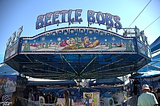 Beetle Bobs