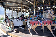 Dentzel Carousel