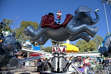 Jumping Jumbos