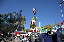 Jumping Jumbos