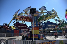 Kite Flyer