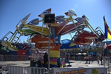 Kite Flyer