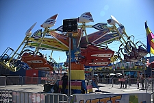 Kite Flyer
