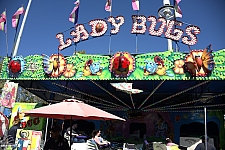 Lady Bugs