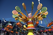 Lolli Swing