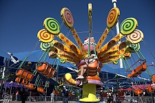 Lolli Swing