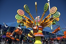 Lolli Swing