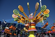 Lolli Swing