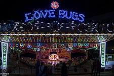 Love Bugs