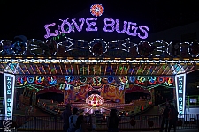 Love Bugs