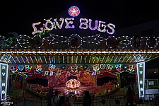 Love Bugs