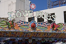 Love Bugs