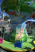 Mini Swings