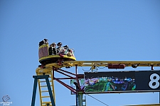 Crazy Mouse
